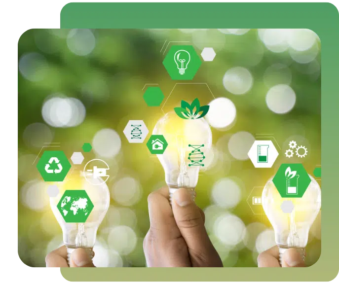 Inovação e Sustentabilidade